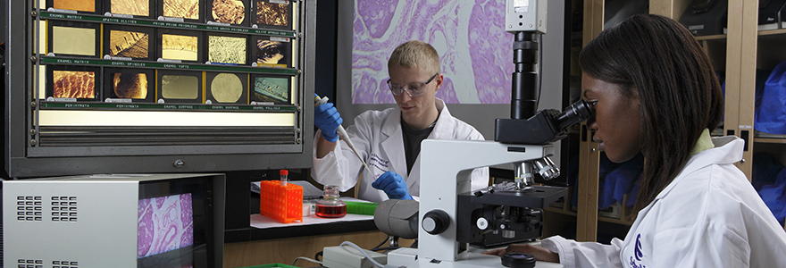 Research opportunities